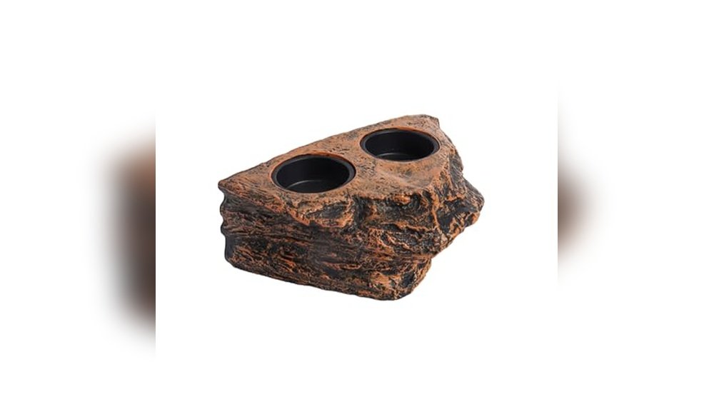 Best Magnetic Feeding Dish for Dart Frogs