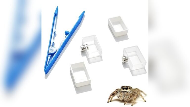 Best Micro Feeder Dish for Amphibians