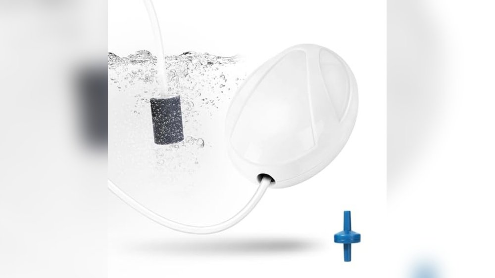 Best Mini Air Pump for Amphibian Tank