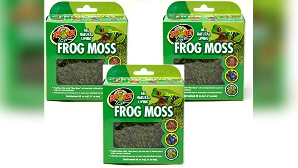 Best Moss Starter Culture for Frog Tanks