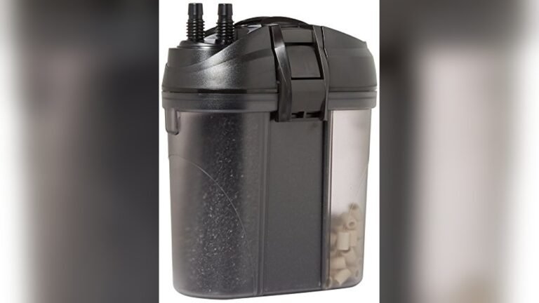 Best Nano Water Filter for Amphibians