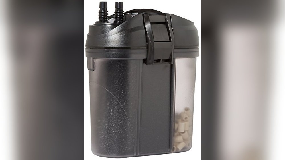 Best Nano Water Filter for Amphibians