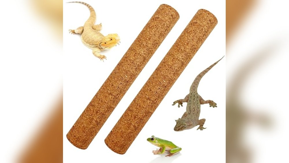 Best Natural Branches for Climbing Frogs