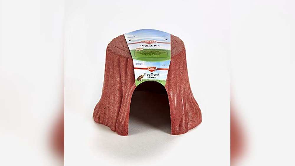 Best Natural Log Hideout for Toads