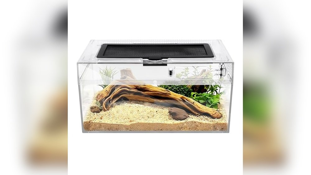 Best Quarantine Tank for Amphibians