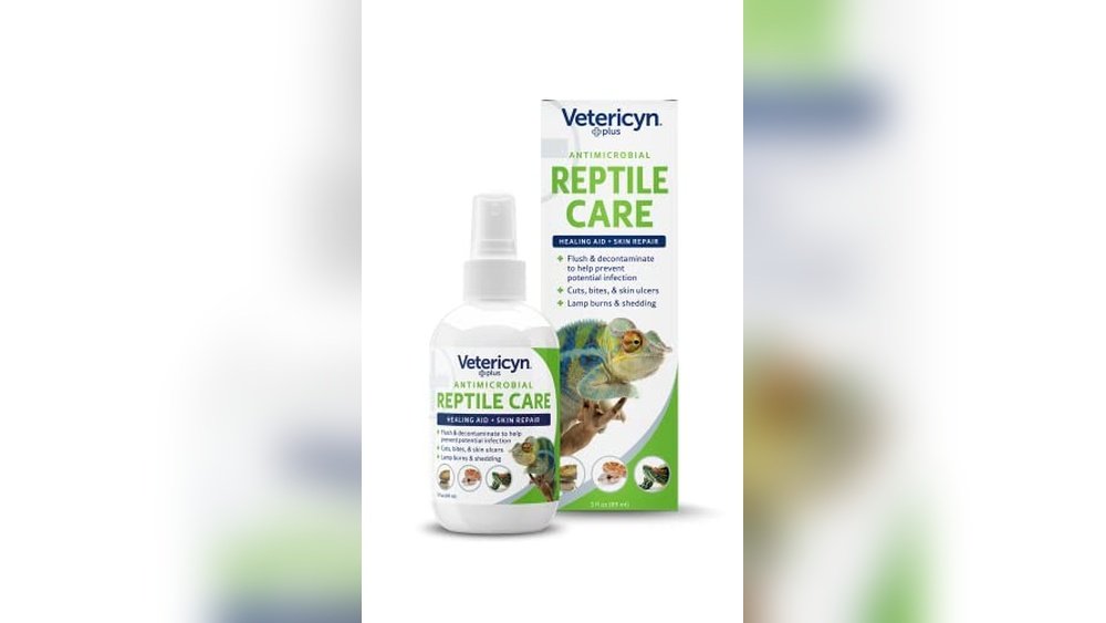 Best Reptile Safe Antibiotic Ointment