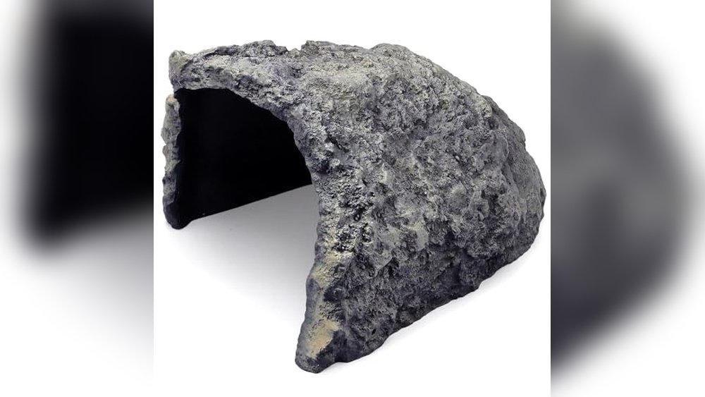 Best Rock Cave for Salamanders