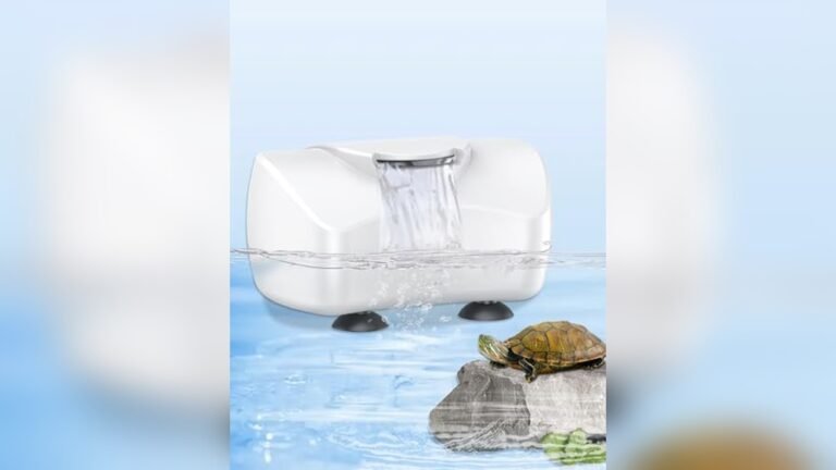 Best Small Tank Filter for Newts