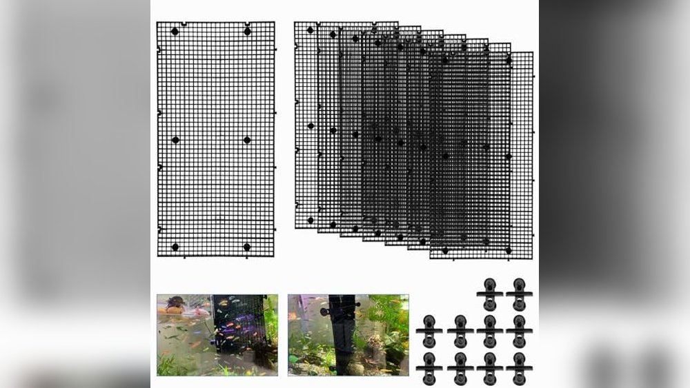 Best Tank Divider for Amphibians