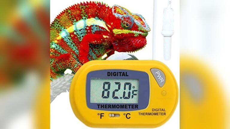 Best Terrarium Thermometer With Probe