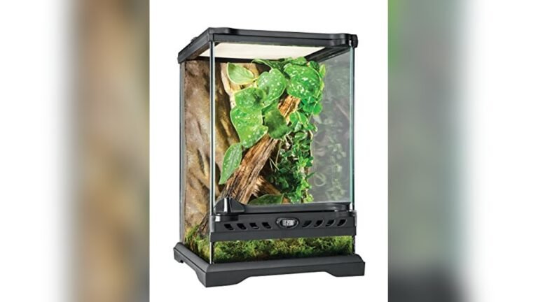 Best Vertical Terrarium for Tree Frogs