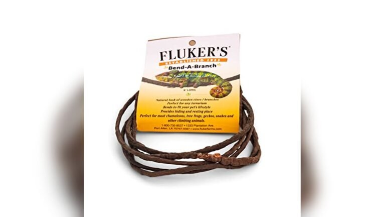 Best Vivarium Branch Decor Kit