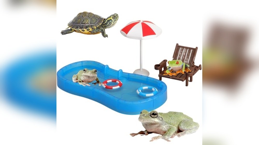 Best Waterfall Decoration for Frog Habitat