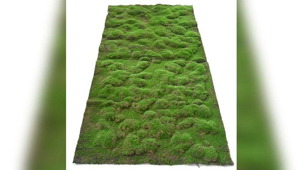 Best Waterproof Terrarium Background